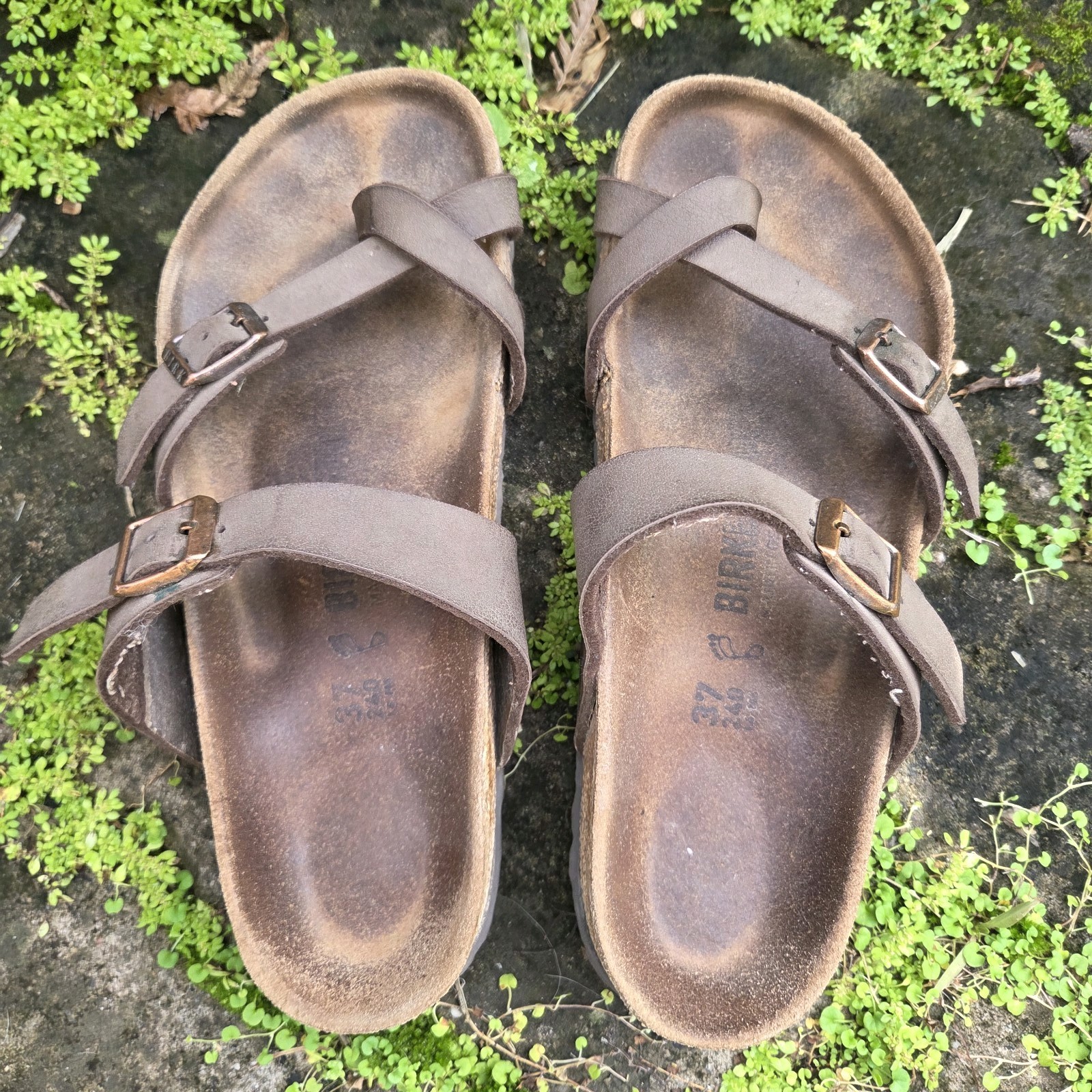 Birkenstock Mayari Sandals Mocha Size 37 R Aus US 6 Mocca Stone Birkibuc Slip On